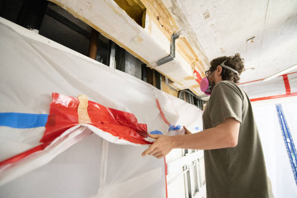 Trusted Cottonwood, CA Mold Removal Experts