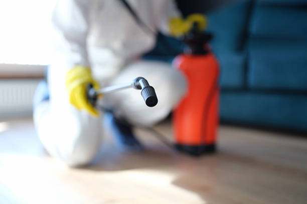 Best Biohazard Mold Removal  in Cottonwood, CA